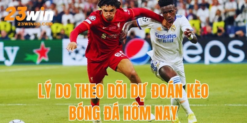 Lý do nên theo dõi thông tin dự đoán kèo bóng đá