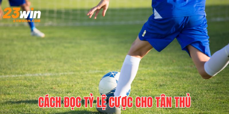 Cách đọc các hệ số trên bảng kèo hiệu quả cho tân thủ